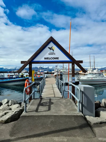 Husavík Island Února 2023 Islandském Městě Husavík Turistickými Loděmi Pro — Stock fotografie