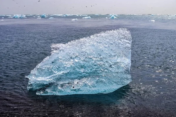 Алмазный Пляж Исландии Голубыми Айсбергами Тающими Черном Песке Льду Сверкающем — стоковое фото