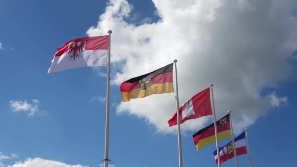 Несколько Флагов Федеральных Земель Германии Размахивающих Ветром Против Солнечного Неба — стоковое видео