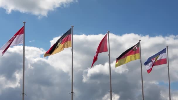 ドイツ連邦政府のいくつかの旗が日当たりの良い空に向かって風に揺れる — ストック動画