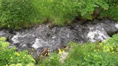 Yeşil İzlanda manzarasında küçük bir dere.