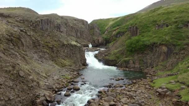 流れる川とアイスランドの岩や草でストリームと幻想的な風景 — ストック動画