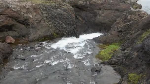 Пейзаж Текучими Реками Ручьями Скалами Травой Исландии — стоковое видео