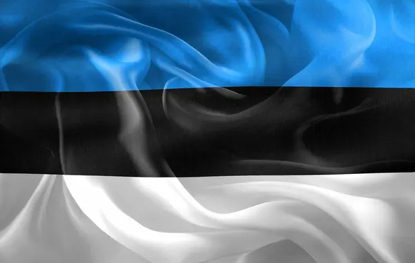 Bandera Estonia Bandera Tela Ondeante Realista — Foto de Stock