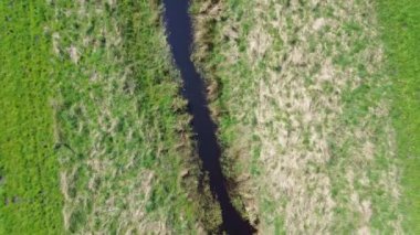Kuzey Almanya 'daki yeşil alanlar arasındaki küçük bir derenin insansız hava aracı görüntüsü.