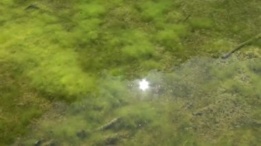 Water surfaces with waves and ripples and the sunlight reflecting at the surface.