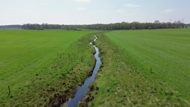 北ドイツの緑のフィールドの間の小さなストリームのドローンビュー — ストック動画