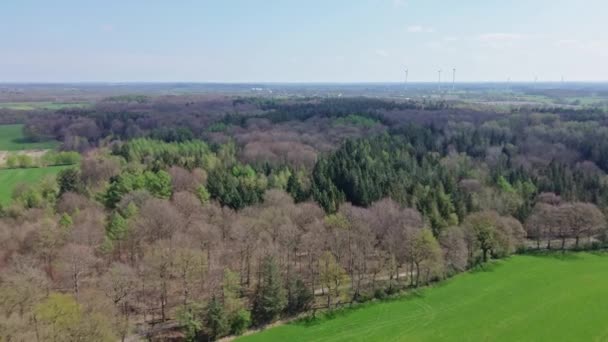 Drohnenblick Auf Einen Mischwald Mit Grünen Und Abgestorbenen Bäumen Norddeutschland — Stockvideo
