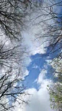 Ağaçların arasından geçen bir arabanın alçak açılı görüntüsü..