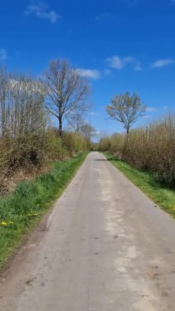 ドイツの田舎道上の移動自転車のハンドルの垂直方向のビュー — ストック動画