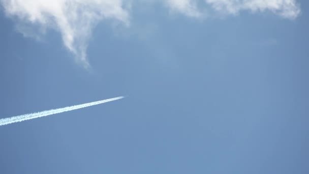 空を高く飛ぶジェット旅客機葉は澄んだ青い空に覆われています — ストック動画