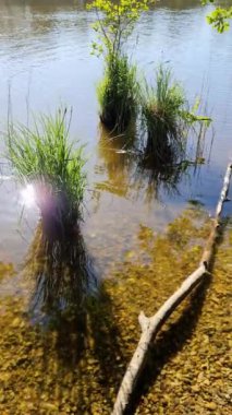 Yansıtıcı su yüzeyi olan güzel bir göl manzarası.
