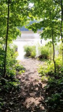 Yansıtıcı su yüzeyi olan güzel bir göl manzarası.