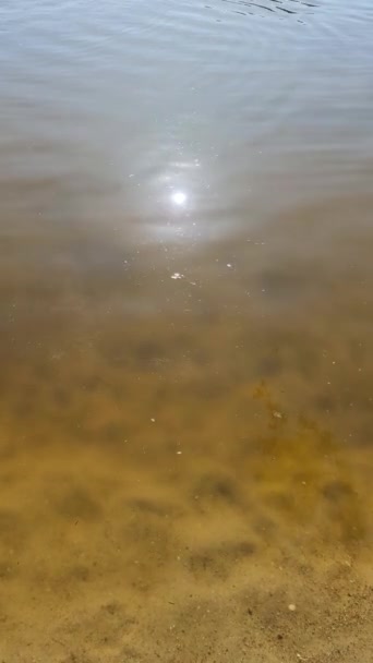 Wateroppervlakken Met Golven Rimpelingen Het Zonlicht Reflecterend — Stockvideo