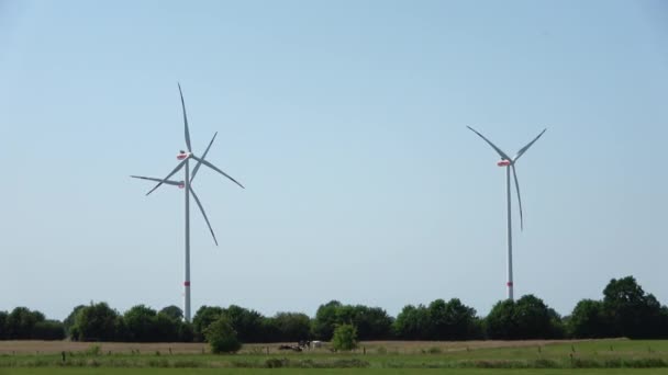 Panoramic View Alternative Energy Wind Mills Windpark Northern Europe — Stock Video