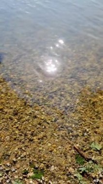 Yansıtıcı su yüzeyi olan güzel bir göl manzarası.