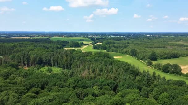 Pohled Smíšený Les Zelenými Stromy Severním Německu — Stock video