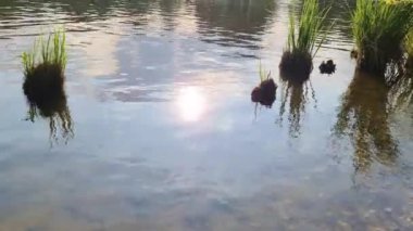 Yansıtıcı su yüzeyi olan güzel bir göl manzarası.