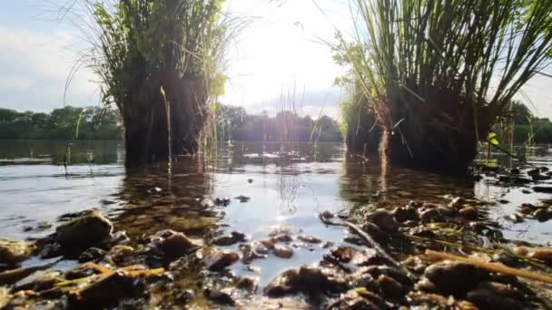 Bela Paisagem Lago Com Uma Superfície Água Reflexiva — Vídeo de Stock