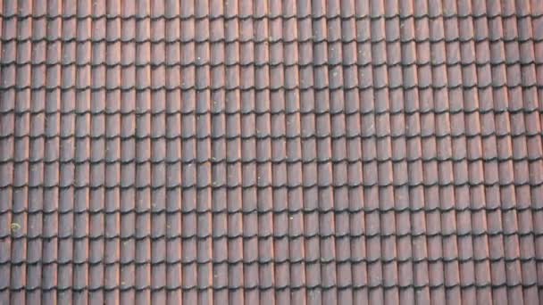 Red Rooftiles Heavy Rain Front Roof — Stock Video