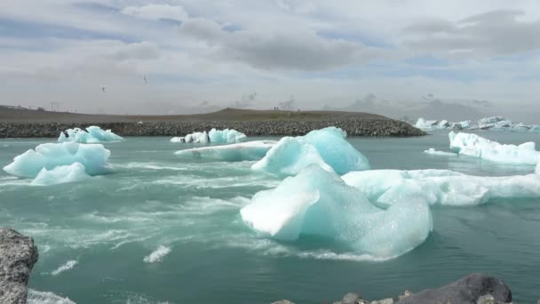 Island Jokulsarlon Lagoon Turkosa Isberg Som Flyter Glacier Lagoon Island — Stockvideo