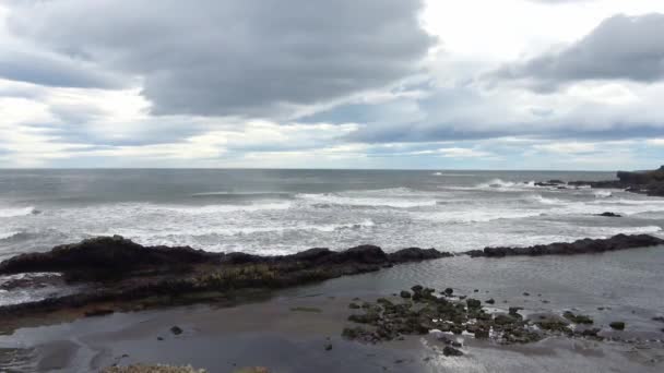 Intenzivní Surfování Čedičovém Skalním Pobřeží Islandu — Stock video