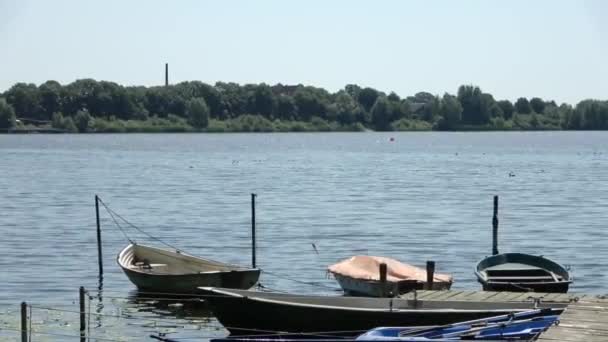 Маленькие Гребные Лодки Идиллическом Озере Солнцем — стоковое видео