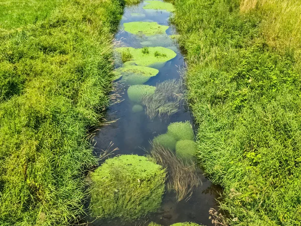 Ένα Μικρό Ποτάμι Ένα Ειδυλλιακό Καταπράσινο Τοπίο — Φωτογραφία Αρχείου