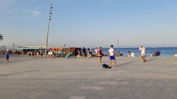 Barcelona Spain July 2023 People Relaxing Walking Public Beach Barcelona — Stock Video