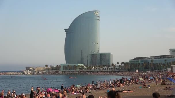 Barcelona Spanien Juli 2023 Menschen Entspannen Sich Und Gehen Öffentlichen — Stockvideo
