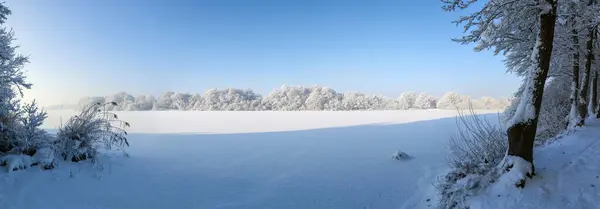 Прекрасный Белый Зимний Пейзаж Снегом Деревьями — стоковое фото