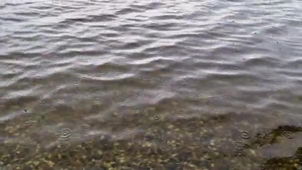 Schöne Reflektierende Wasseroberfläche Eines Sees — Stockvideo