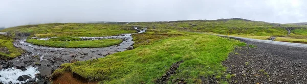Islandzki Krajobraz Płynącymi Rzekami Otoczony Skałami Trawą — Zdjęcie stockowe