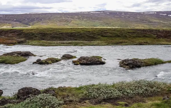 Исландский Ландшафт Текущими Реками Окруженными Скалами Травой — стоковое фото