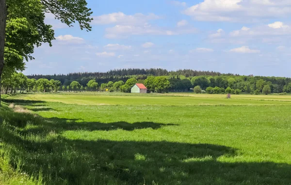 Widok Pola Używanego Rolniczo Zieloną Trawą — Zdjęcie stockowe
