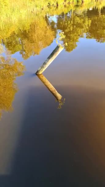 Schöne Landschaft Einem See Mit Spiegelnder Wasseroberfläche — Stockvideo