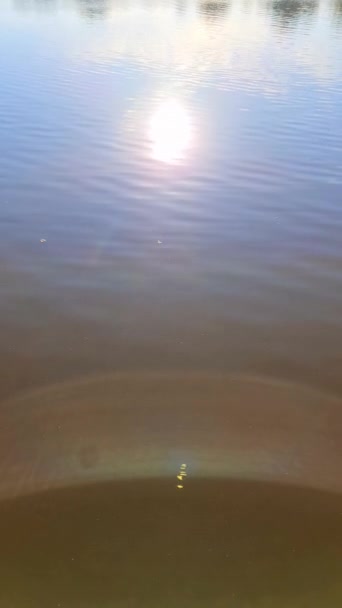 Bellissimo Paesaggio Lago Con Una Superficie Riflettente Dell Acqua — Video Stock