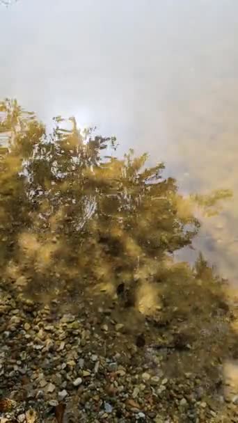 Yansıtıcı Yüzeyi Olan Güzel Bir Göl Manzarası — Stok video