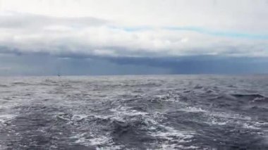 Hareket eden sürat teknesinin arkasındaki çalkalanmış suyun görüntüsü.