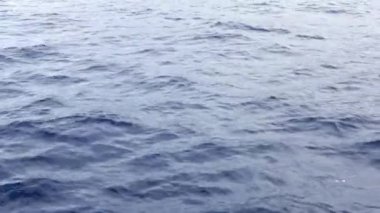 Water surfaces with waves and ripples and the sunlight reflecting at the surface.