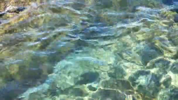 Water Surfaces Waves Ripples Sunlight Reflecting Surface — Vídeo de Stock