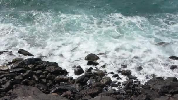 Tenerife加那利岛上的落基海滩 — 图库视频影像