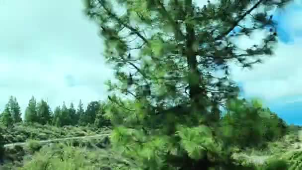 Vista Das Árvores Monte Theide Ilha Tenerife Nas Estradas Sinuosas — Vídeo de Stock