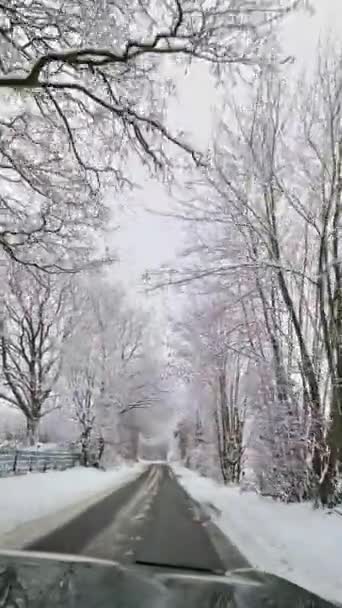 Vista Desde Coche Movimiento Camino Cubierto Nieve Con Árboles Mucha — Vídeos de Stock