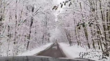 Ağaçlarla kaplı, karla kaplı bir yolda hareket halindeki bir arabadan manzara.
