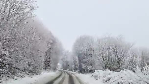 Вид Движущегося Автомобиля Заснеженную Проселочную Дорогу Деревьями Большим Количеством Снега — стоковое видео