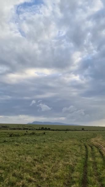 サファリで見つかった美しいアフリカの日没風景 — ストック動画