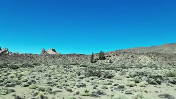 Widok Boku Jadącego Samochodu Wulkanicznego Krajobrazu Mount Theide Teneryfie — Wideo stockowe