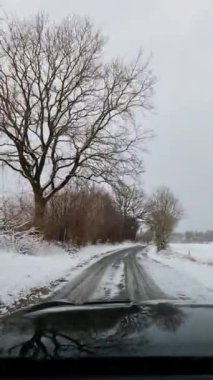 Kırsal yol karla kaplı, ağaçlarla kaplı, arabayla giderken..