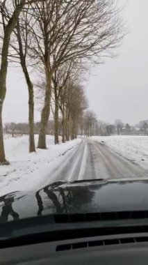 Kırsal yol karla kaplı, ağaçlarla kaplı, arabayla giderken..